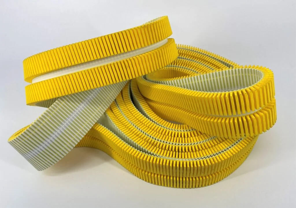 Yellow-Dense-Belt