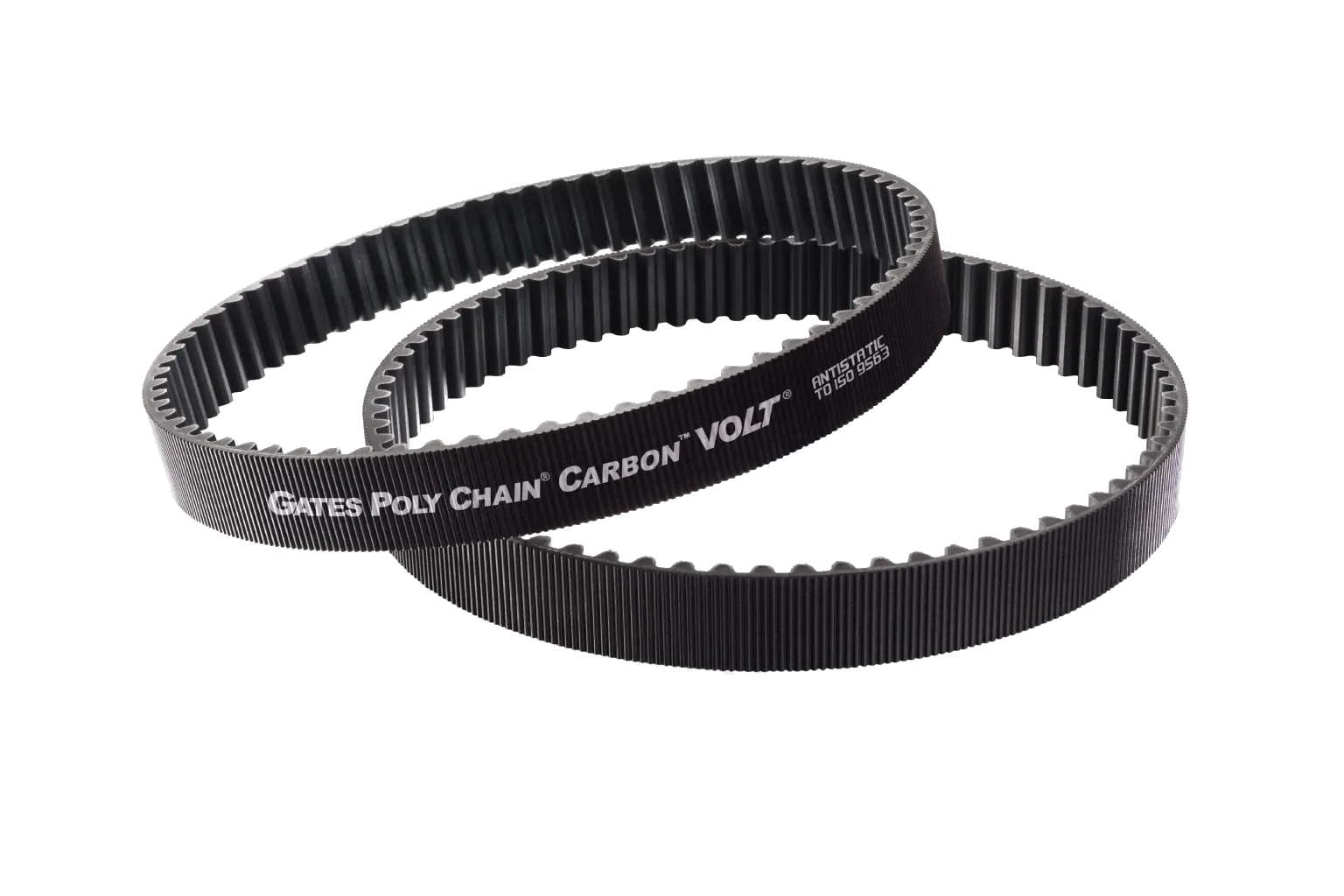 Timing Belt